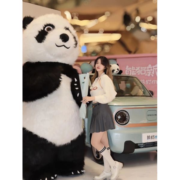 GEELY Panda Mini 2 Speakers And 1 Camera Sport And Comfortable Two Driving Modes Choice Electric Car With Synchronous Motor