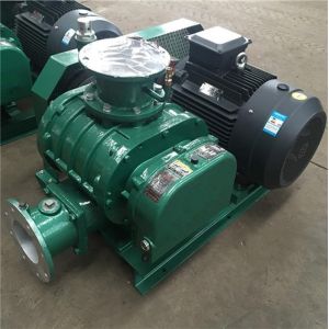 Efficiently Boost Your Production with Our Customized Roots Blower Vacuum Pump