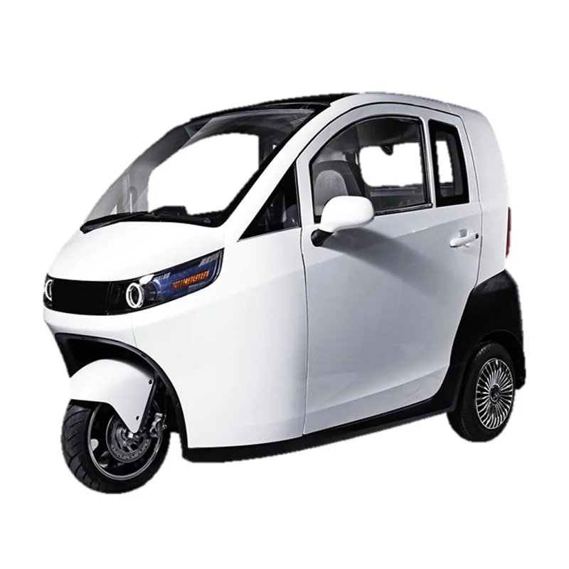EEC Certificate Three Wheels Electric Vehicle Raysince Hot Sales Electric Tricycle Car