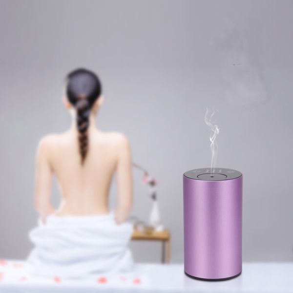Humidification Air Pump Waterless Aromatherapy Nebulizer 80sqm