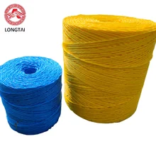 Quality Twisted Polypropylene Twine With 15% Elongation UV Resistance And 300N Tensile Strength for sale