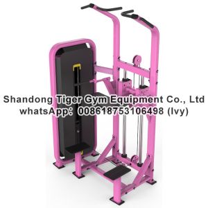 Gym Fitness Equipment Assist Dip Chin exercise machine