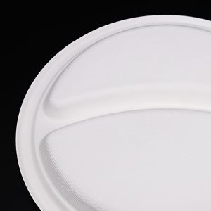Best Quality Promotional Plates Biodegradable Takeaway Plates Disposable