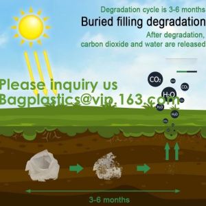 Corn Starch Bag Compostable Biodegradable Plastic Bags Corn Starch Based