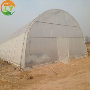 Plastic Shed Winter Tomato Greenhouse for Crops Width Defined by Area