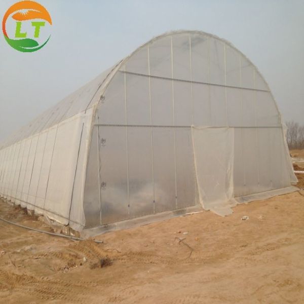 Customized Size Mushroom Growing System for Microgreens in High Tunnel
