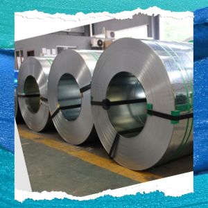 EN 1.4401 AISI Stainless Steel Coil Cold Rolled SUS316 2MM Thick 1250MM Width