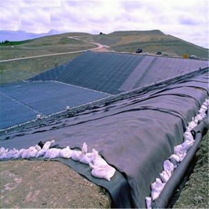s Geomembrane Provides 1m-8m Width Geomembranes for T-Lock HDPE Waterproofing
