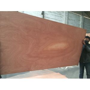 Mexico market sapele plywood high quality