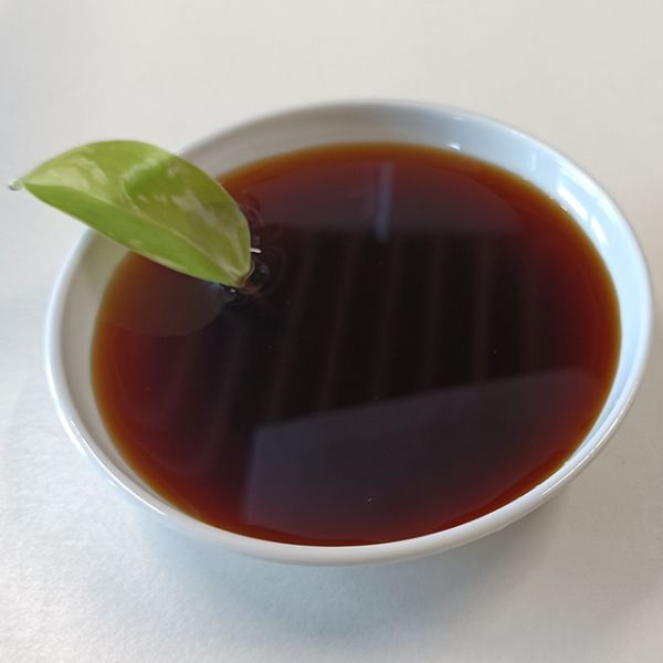 Amino Acid Liquid 45% w/v Amino Acid Raw Material 6% Total Nitrogen CAS 65072-01-7