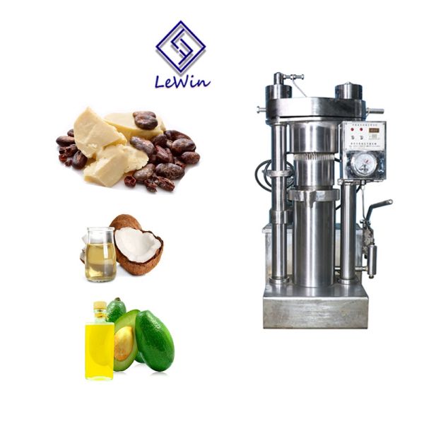 Buy 4kg/Batch SS Avocado Cold Press Expeller Machine at wholesale prices