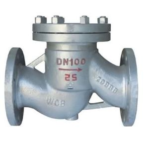Horizontal Installation Stainless Steel Lift Type Check Valve NPS2'-36' Class