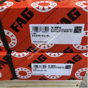 FAG Self-Aligning Roller Bearing 22220-E1-XL , 22230-E1-XL