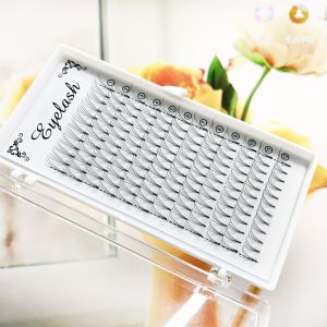 3D 4D 5D 6D 7D 8D 10D Premade Volume Fans Lashes 8-20mm Length 0.07mm 0.10mm