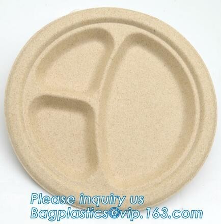 biodegradable food tray for fruit or snack biodegradable corn starch disposable