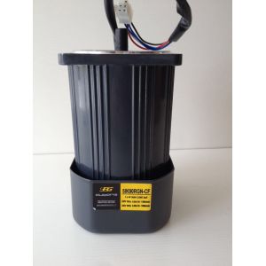 Quality 90W OPG Ac gear reduction motor 5ik90RGN for sale