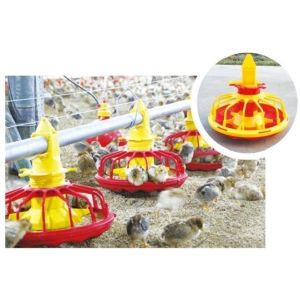 Automatic Feeding System For Broilers And Layers