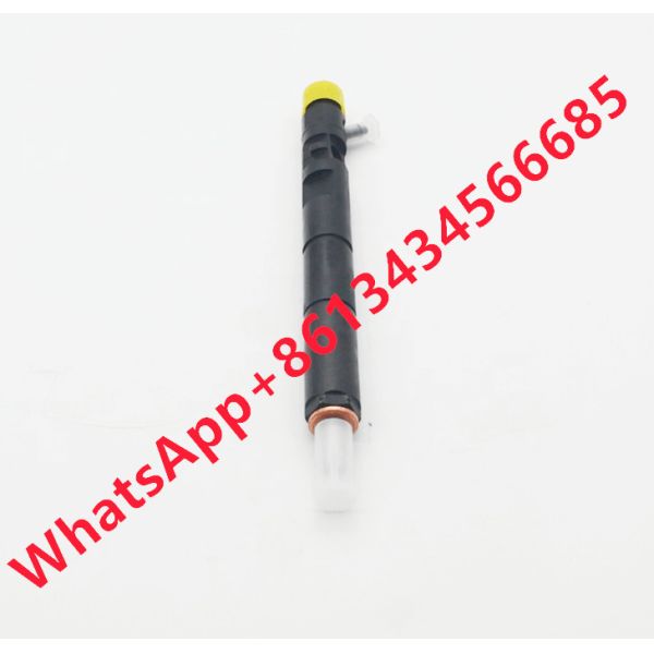 Ejbr04101d Fuel Injector Ejbr02101z 8200049876 166003978r Common Rail