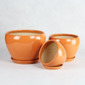 Stunning Plant Display With Our Ceramic Pots Affordable Prices