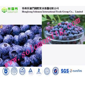no pigment no essence Blueberry Powder/Natural Fruit Nutritional Blueberry