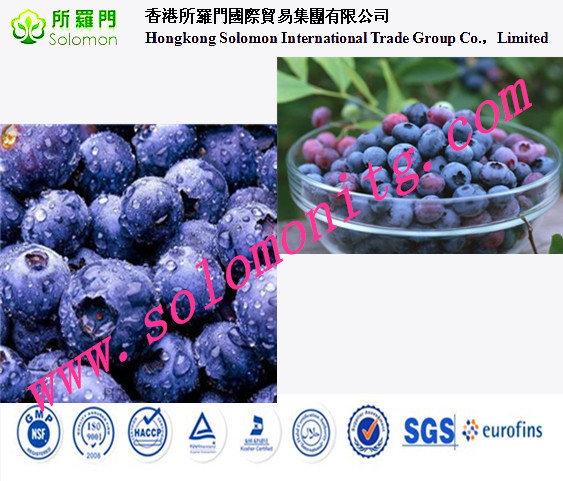 no pigment no essence Blueberry Powder/Natural Fruit Nutritional Blueberry