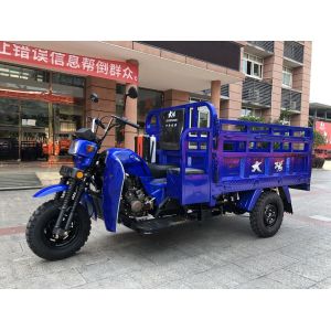 Experience Smooth and Transportation with Our 250cc Cargo Handicap Tricycle in