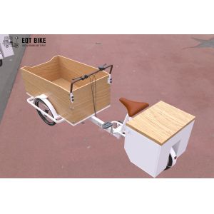 Multifunctional 3 Wheel Disc Brake Dutch Cargo Bicycle 150kg Load