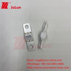 China ASTM 50A 25VDC Electric Vehicle Fuses  Current Range on sale