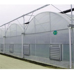 Resource Saving Hydroponic Greenhouse Systems Commercial For Cultivation Leafy