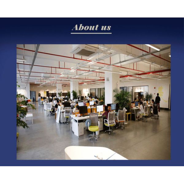 450KM,550KM MPV Electric Car 450-550KM 9