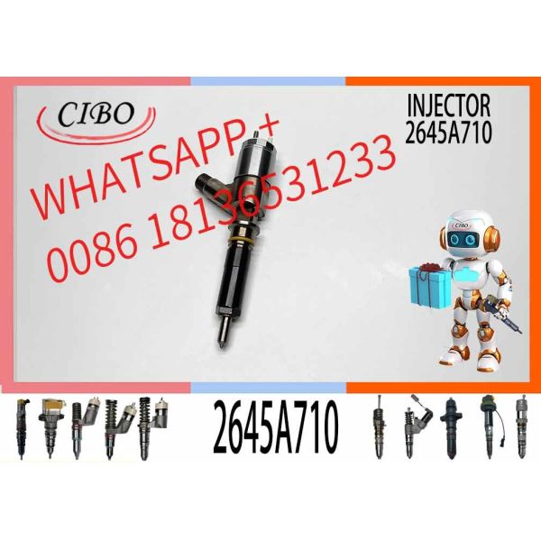 Diesel Engine Pump Car Fuel Injector 2645A710 2645A732 2645A744 For C6.6 Engine
