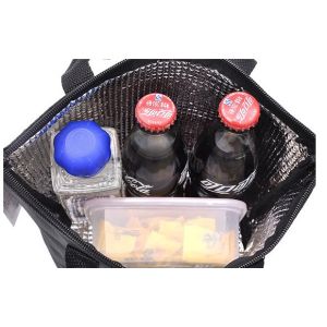 Sparkling Insulated Cooler Lunch Bag with Silver Wire