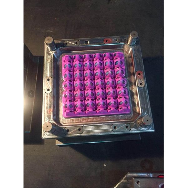 Buy PET Egg Crate Making Machine Fully Automatic Egg Tray Machine at wholesale prices