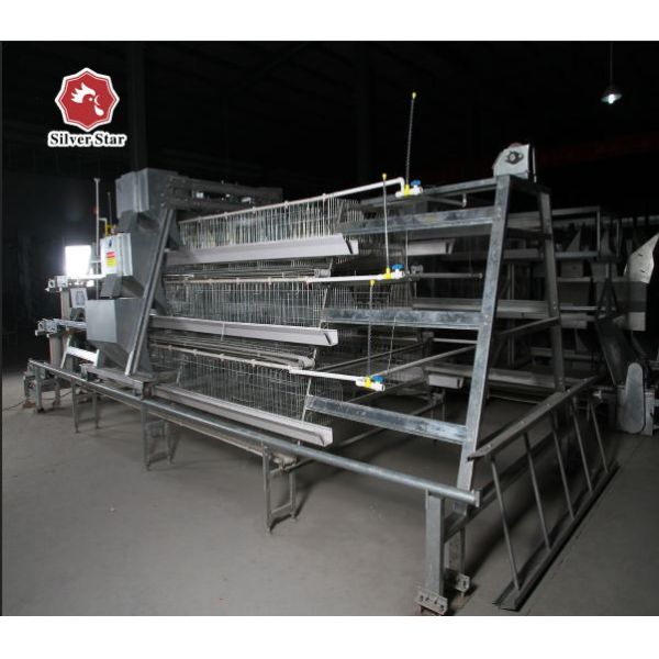 Buy Broiler Baby Chick Cage With Full Feeding System at wholesale prices