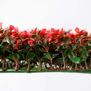 Outdoor Wedding Artificial Fake Plastic Grass 2x25cm