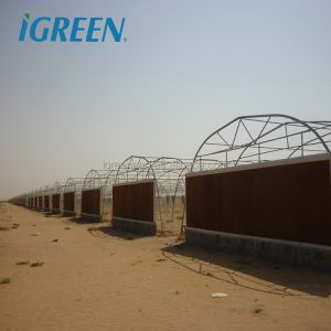 Hot Climate Tomato Plant Greenhouse 150 Micron Plastic Film Cover