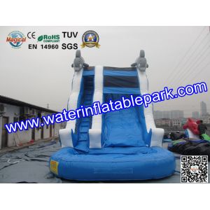 Children Amazing Inflatable Water Slide In Outdoor , Durable Blue Inflatable