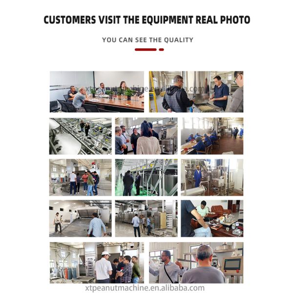 Stainless Steel Fully Auto Split Peanut Blancher Machine SUS304 for Blanching & Splitting Peanuts