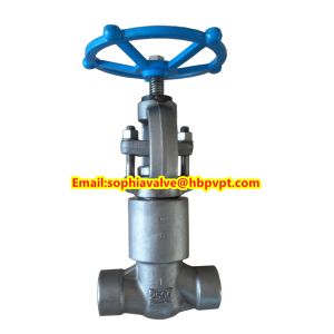 ANSI forged stainless steel globe valve