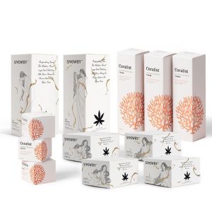 Cosmetic Packing Box For Lips Stick