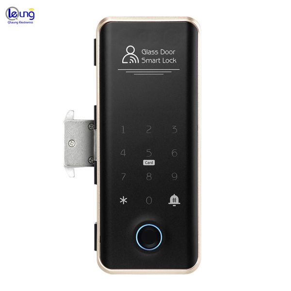 Villa Face Id Smart Lock ROHS Automatic Door Lock For Apartment