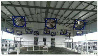 Chicken Broilers Layers 380V Ventilation Fan System