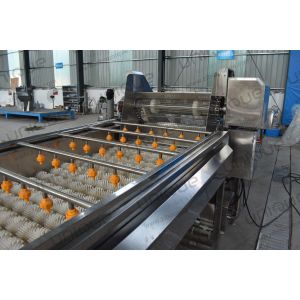 Continuous Vegetable and Fruit Spiral Brush Roller Washer with Cleaning