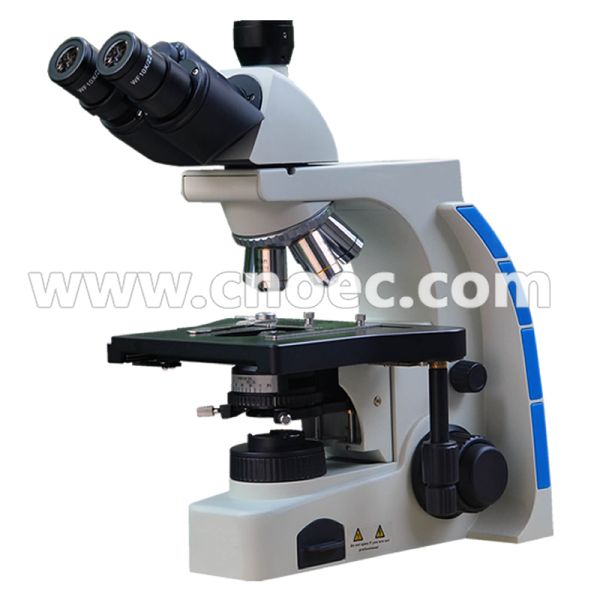 40X 100X Learning Compound Optical Microscope Halogen Illumination Microscopes A12.2702