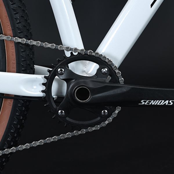 11-52T Gears Range Downhill Mountain Bike with Shimano Shifter and Ordinary Pedal