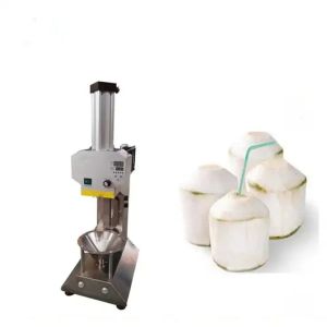 220V Food Processing Machines Electric Automatic Coconut Skin Peeling Machine