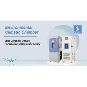 Liyi Customized Environmental Chambers Temperature and Humidity Control Cabinet
