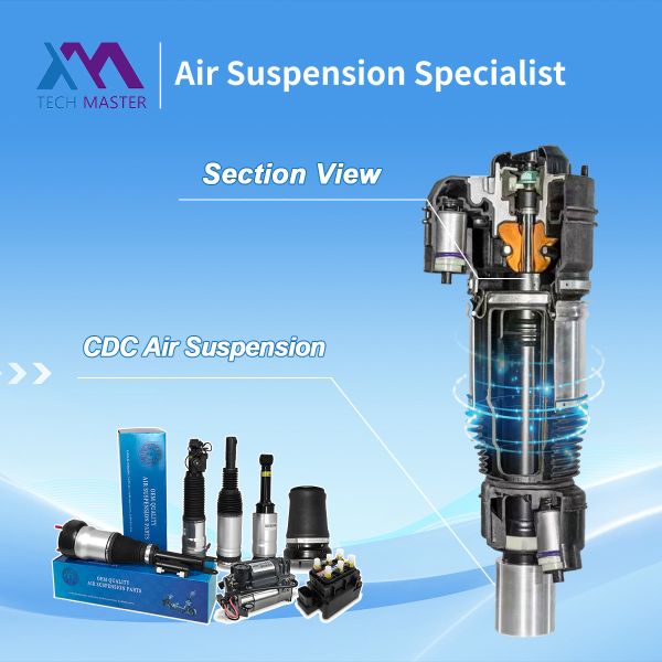 Air Suspension Shock For Mercedes-Benz W222 V222 X222 C217 W217 S-Class Maybach S- Class 2223200213 2223206313 2223200113 2223208713