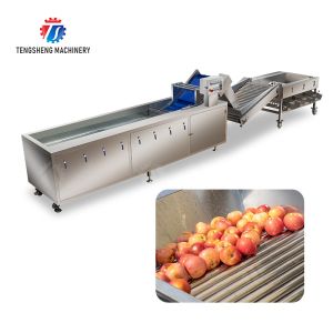 Fruit bubble washing and sorting production line Fruit Vegetable FOOD processing