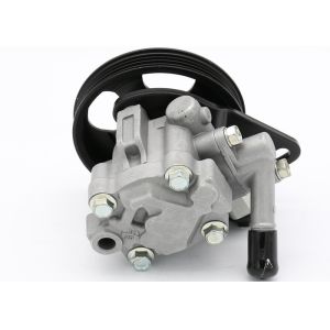 Nissan Almera Power Steering Pump , 49110-0M000 Auto Power Steering Pump